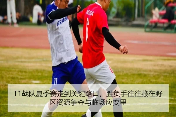 zhan-dui-xia-ji-sai-zou-dao-guan-jian-lu-kou-sheng-fu-shou-wang-wang-cang-zai-ye-qu-zi-yuan-zheng-duo-yu-lin-chang-ying-2-226.jpg